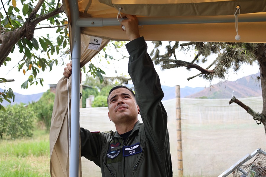 Colocación de Carpa