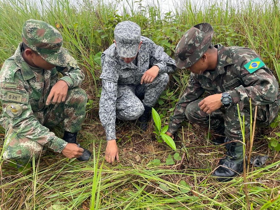 Jornada de reforestación binacional fue apoyada por su Fuerza Aérea en el Amazonas