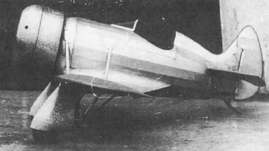 NV-1 el avión enano soviético de los años 30 