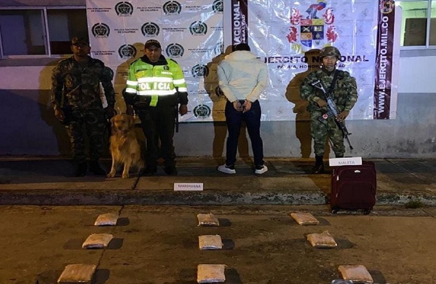 Ejército Nacional incautó 11 kilos de marihuana tipo kripy, que iban para la ciudad de Valledupar